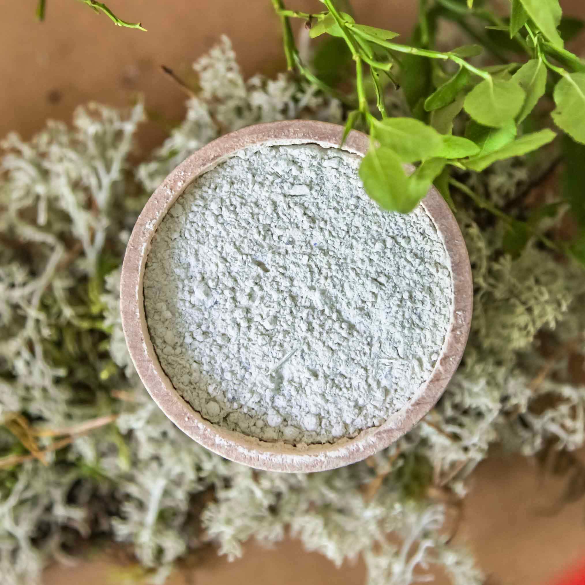 Nörre Nordic RECALM Probiotic Herbal Face Mask